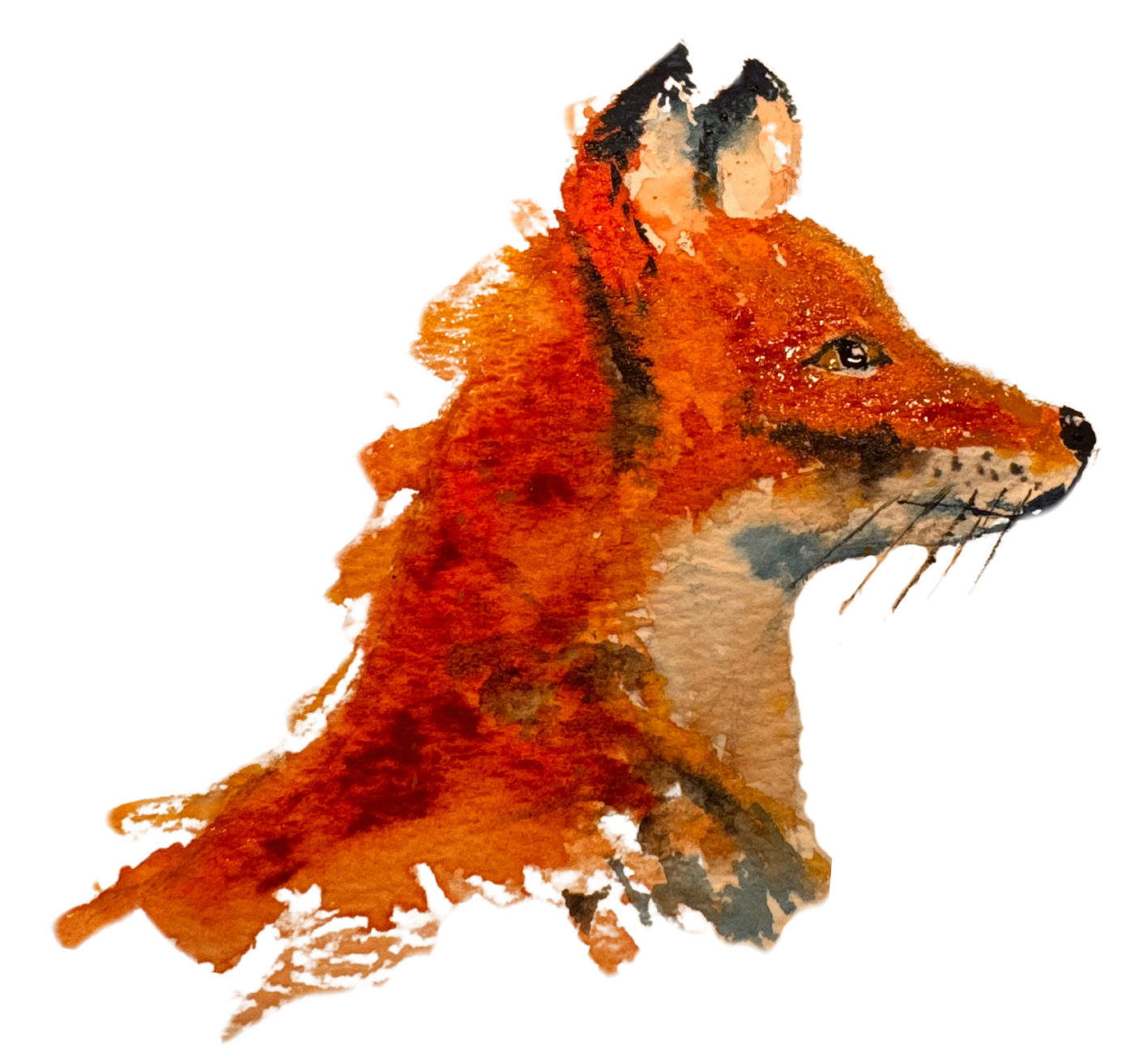 Watercolor portrait of a red fox in profile